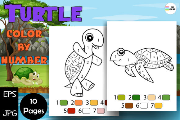 Turtle Color by Number Pages - KDP Graphic Coloring Pages & Books Kids By Sei Ripan