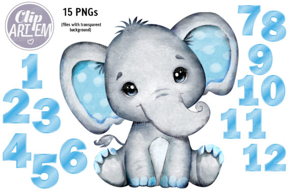 Elephant Boy Month Numbers 15 PNG Set Gráfico Ilustraciones Imprimibles Por clipArtem