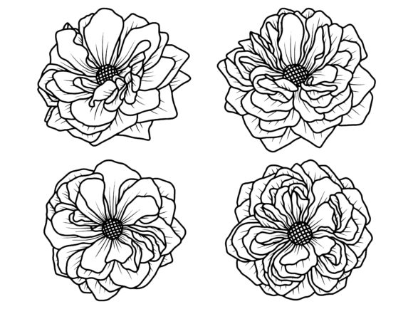 Rose Flower Line Art Illustration Illustrations Imprimables Par PurMoon