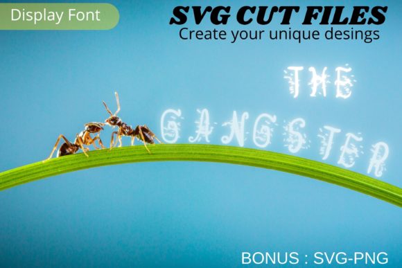 The Gangster Display Font By Cnxsvg