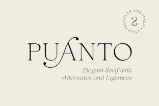 Puanto Serif Fonts Font Door Pasha Larin 1