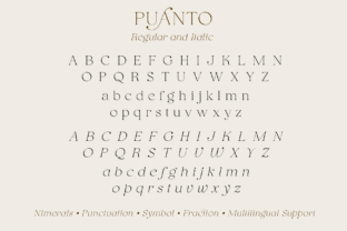 Puanto Serif Fonts Font Door Pasha Larin 13