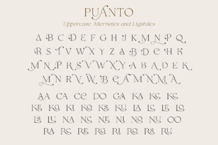 Puanto Serif Font By Pasha Larin 14