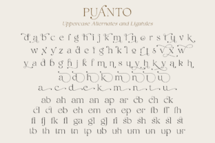 Puanto Serif Font By Pasha Larin 15
