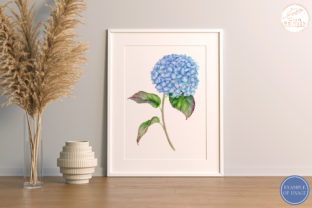 Watercolor Blue Hydrangea Flower Clipart Graphic Illustrations By Olya Haifisch 4