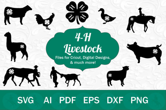 4-H Livestock Graphic Illustrations By Circus Unicorn