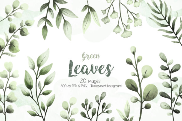 Watercolor Green Leaves Graphic Illustrations By Stellaart