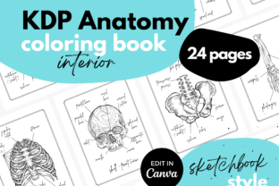 Anatomy Coloring Book Interior ♥ Canva Graphic KDP Interiors By Mel Kelly Designs 1