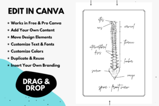 Anatomy Coloring Book Interior ♥ Canva Graphic KDP Interiors By Mel Kelly Designs 5