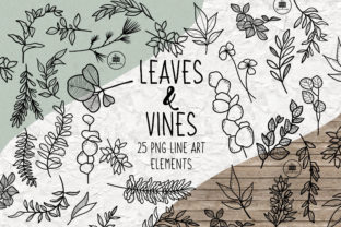 Leaves and Vines Line Art Elements Graphic Illustrations By The PNG Warehouse 2