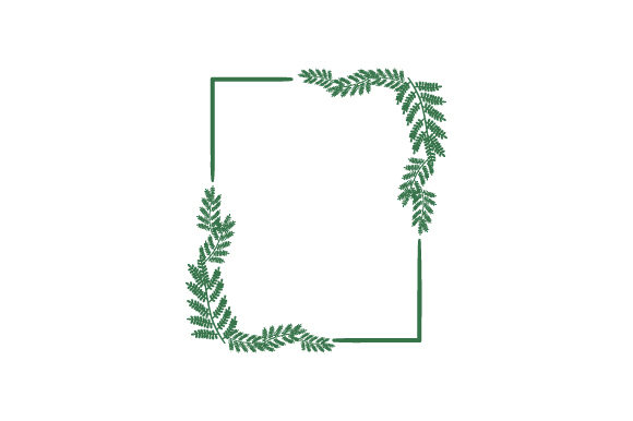Frame of Ferns Nature & Outdoors Craft Cut File By Creative Fabrica Crafts