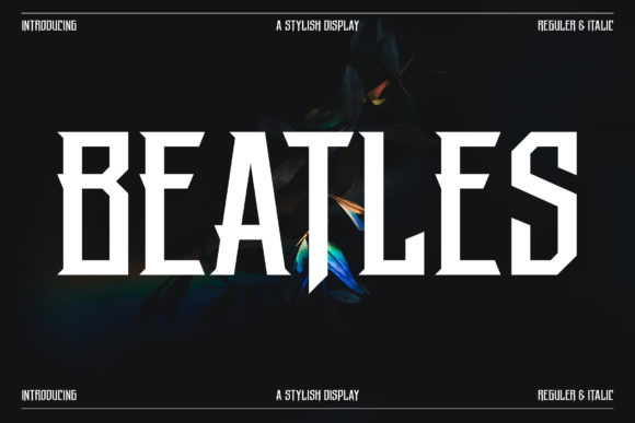 Beatles Serif Font By Storytype Studio