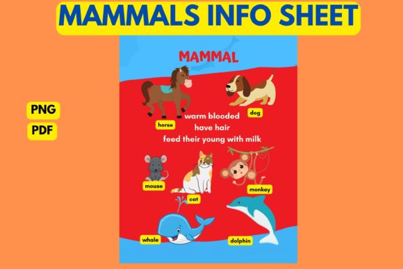Mammals Info Sheet Graphic K By Charm Creatives