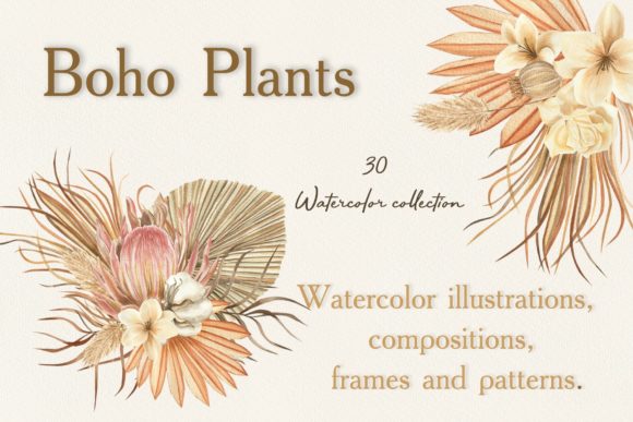 Boho Plants Watercolor Collection Gráfico Ilustraciones Imprimibles Por ViolettaKh