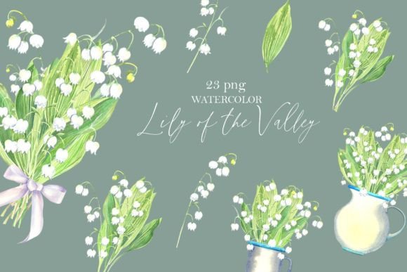 Lily of the Valley Graphic Illustrations By evgenia_art_art