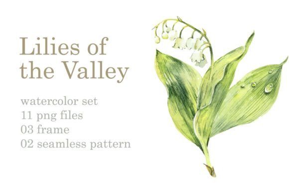 Watercolor Lilies of the Valley Graphic Illustrations By Мария Кутузова