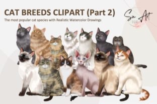 Cats Clipart Cat Breeds Cat Bundle Part2 Graphic Illustrations By Su Digital Art 1