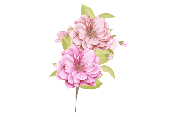 Flowers Watercolor Vector Illustration Grafica Illustrazioni Stampabili Di aekblahareda