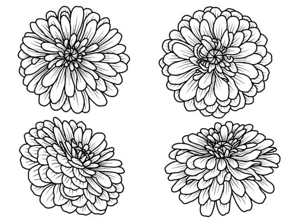 Flowers Line Art Illustration Illustrations Imprimables Par PurMoon