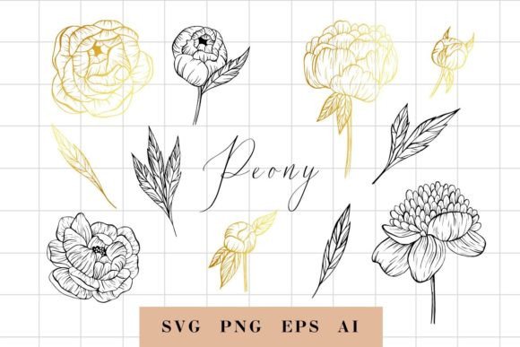 Hand Drawn Peony Flowers PNG Graphic Illustrations By art.dariautumn