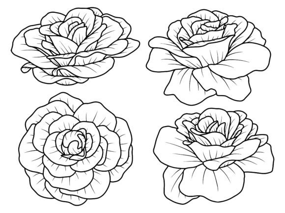 Flower Line Art Illustration Illustrations Imprimables Par PurMoon