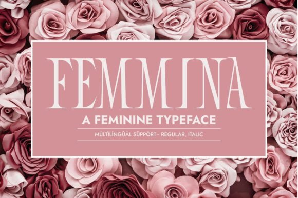 Femmina Slab-Serif-Schriftarten Schriftart Von Minimalistartstudio