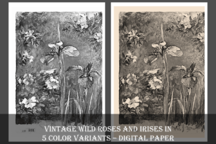 Wild Roses and Irises Vintage Painting Grafica Illustrazioni Stampabili Di Artistology 4