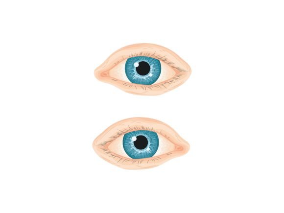 Adult Nose Eye Ear Mouth Cute Health 3d Graphic Objects By ivaneffendi9631