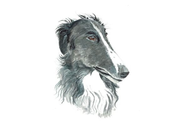 Watercolor Pet Portrait Black Dog Png Graphic Illustrations By SofieArtBoutique