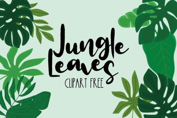 Jungle Leaves Clipart Free Graphic Illustrations By Free Graphic Bundles