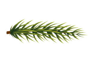 Christmas Green Garland Element. Pine Tr Grafika Ilustracje do Druku Przez ladadikart