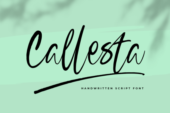 Callesta Script & Handwritten Font By fontkong