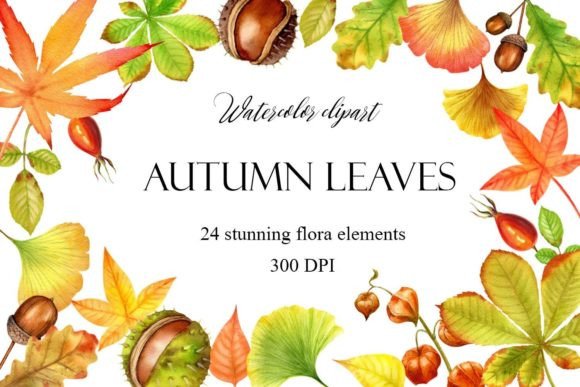 Watercolor Fall Leav Clipart, Autumn Png Graphic Illustrations By WatercolorArtByOlga