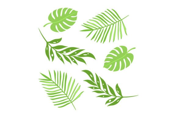 Tropical Leaf Print Naturaleza y Aire Libre Archivo de Corte de Manualidades Por Creative Fabrica Crafts