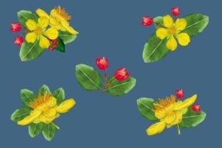 Flower Collection Clipart Graphic Graphic Illustrations By beitso 5
