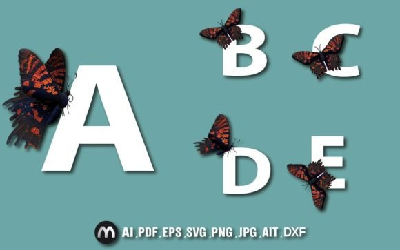 Realistic Butterfly Alphabet Design Grafika Rękodzieła Przez mehide021