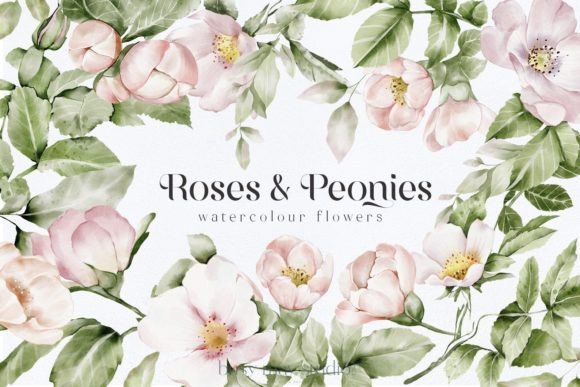 Watercolor Roses Peonies Clip Art PNG Graphic Illustrations By Busy May Studio