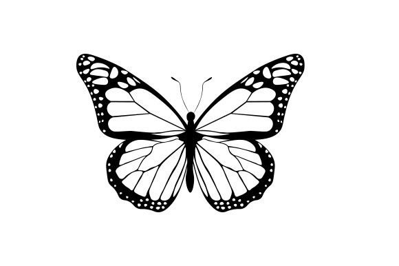 Intricate Cut Butterfly Nature & Outdoors File creazione per il taglio Di Creative Fabrica Crafts