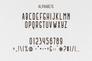 Antique Serrif Serif Font By Monoletter 2