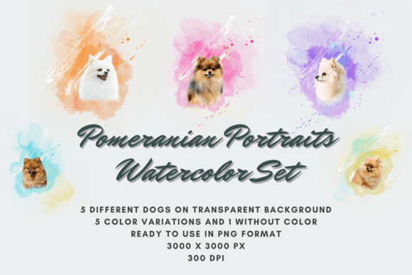 5 Pomeranian Portraits Watercolor Set Grafik Druckbare Illustrationen Von TY Wu