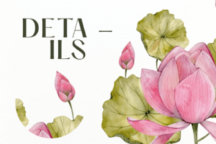 Pink Watercolor Lotuses Compositions Illustration Illustrations Imprimables Par My Favourite Imgs 3