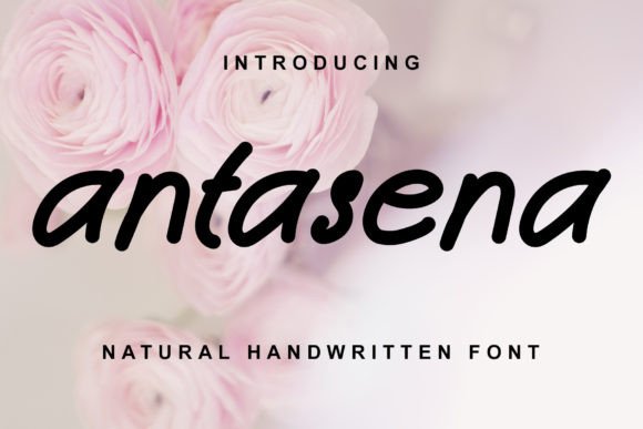 Antasena Script & Handwritten Font By Bahrul Studio