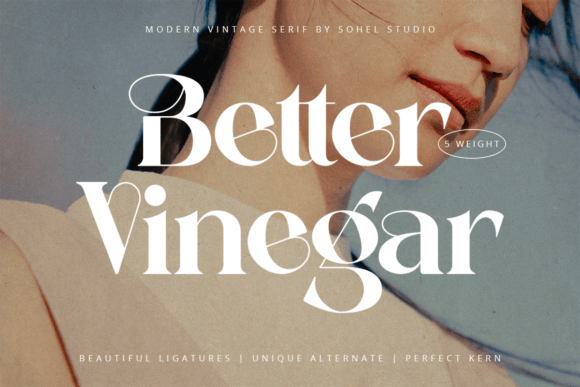 Better Vinegar Serif Font By Sohel Studio