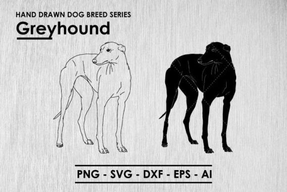 Hand Drawn Dog Breeds - Vector & PNG Graphic Illustrations By SeaquintDesign