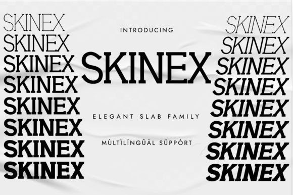 Skinex Slab Serif Font By Minimalistartstudio