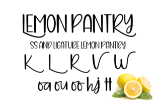 Lemon Pantry Script & Handwritten Font By AM Designs 5