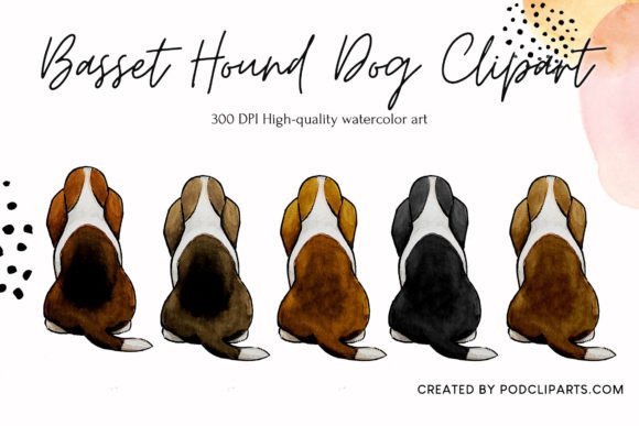 Basset Hound Clipart Graphic Illustrations By PODcliparts