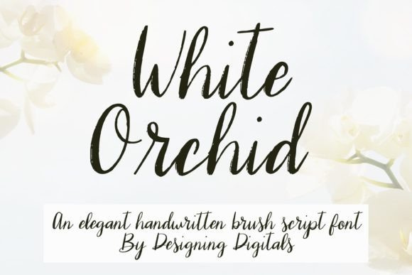 White Orchid Script & Handwritten Font By designingdigitals