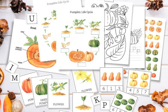 Pumpkin Unit Study, Fall Worksheet Gráfico Infantil Por Larysa Zabrotskaya
