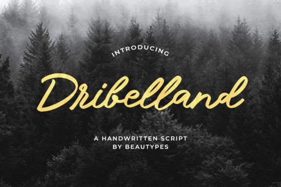 Dribelland Script & Handwritten Font By Beautypes
